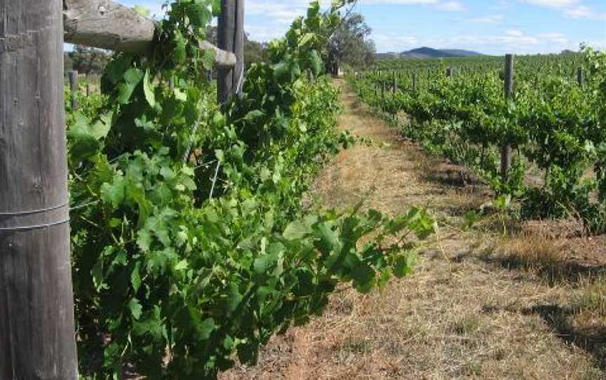 Mount Camel Ridge Estate, Wineries in Heathcote