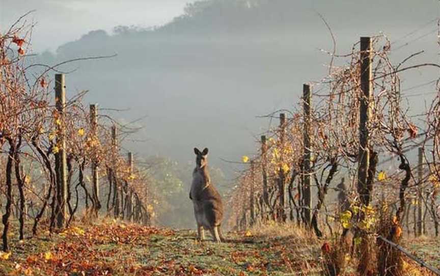 Nillumbik Estate, Smiths Gully, Victoria