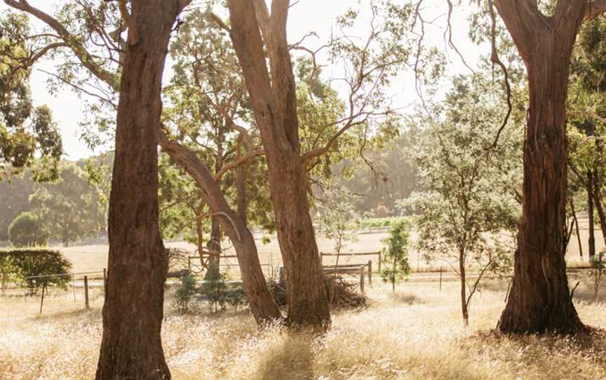 Paramoor Winery, Carlsruhe, Victoria