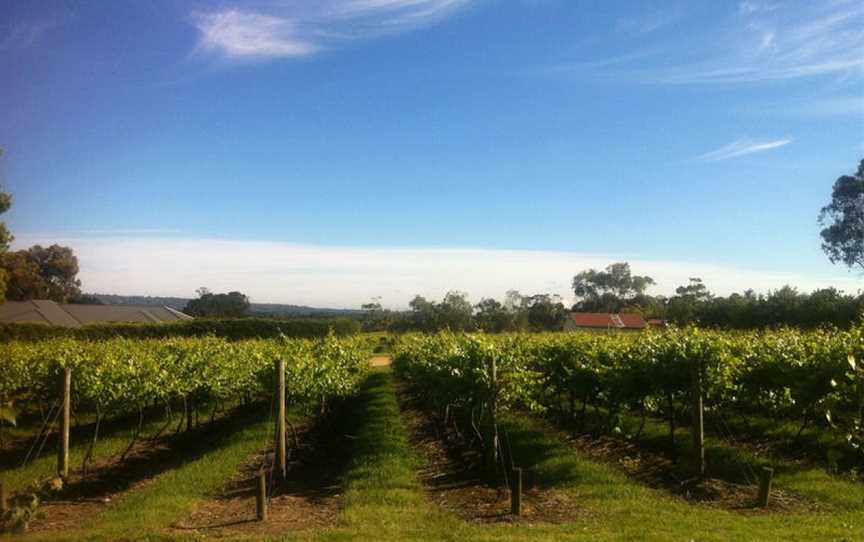 Phaedrus Estate, Wineries in Moorooduc