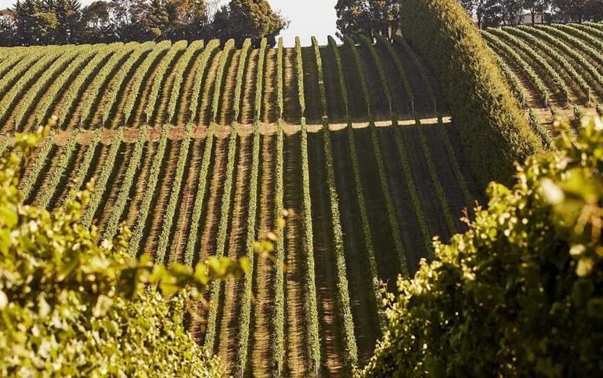 Red Hill Estate, Red Hill South, Victoria