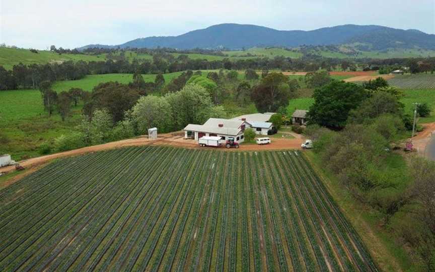 Schmidt's Strawberry Winery, Wineries in Allans Flat