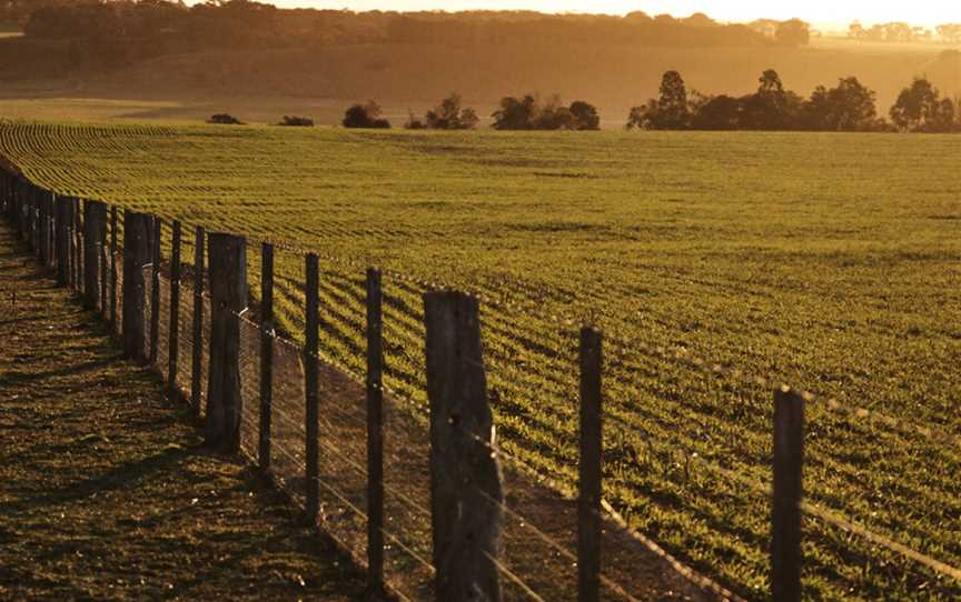 Spence, Wineries in Murgheboluc