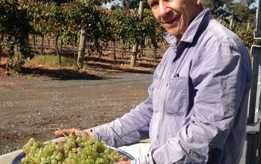 St Ignatius Vineyard, Lamplough, Victoria