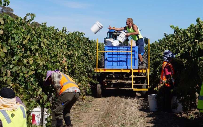 Stanton & Killeen Wines, Wineries in Rutherglen