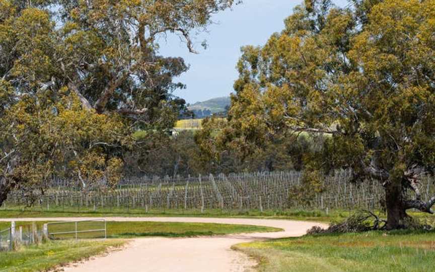 Sutton Grange Winery, Sutton Grange, Victoria