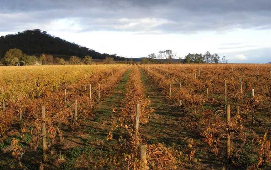 Taminick Cellars, Wineries in Taminick