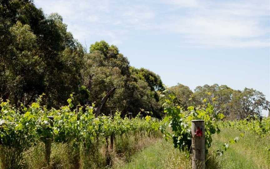 Wando Lodge Wines, Wineries in Casterton