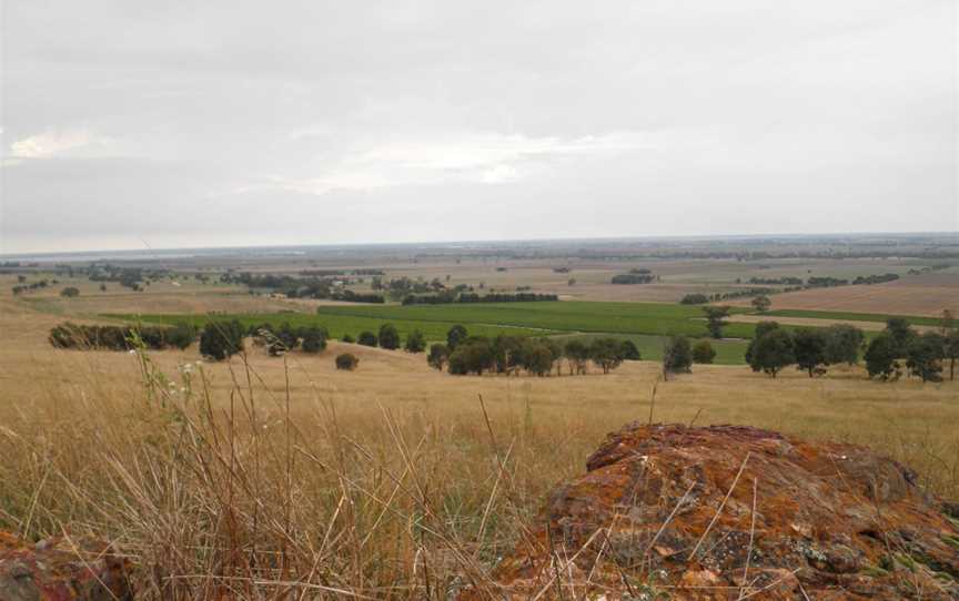 Whistling Eagle Vineyard, Colbinabbin, Victoria