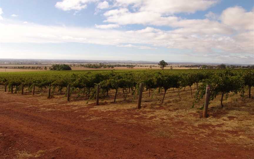 Whistling Eagle Vineyard, Wineries in Colbinabbin