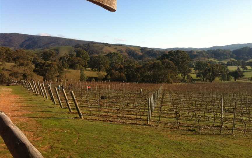 Wimmera Hills, Glenpatrick, Victoria