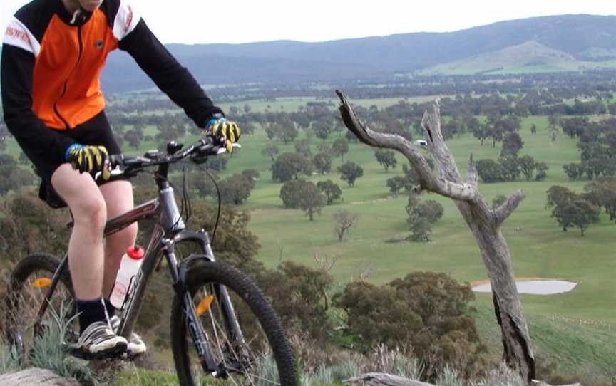 Wimmera Hills, Glenpatrick, Victoria