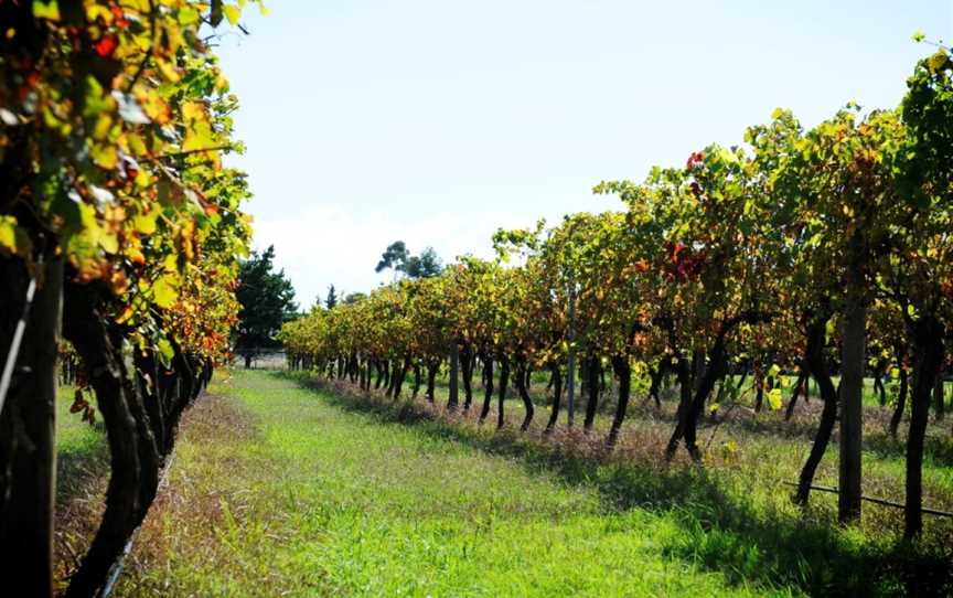 Witchmount Estate, Plumpton, Victoria