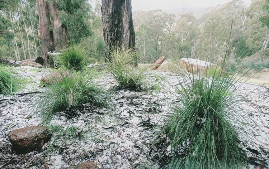 Wombat Forest, Denver, Victoria