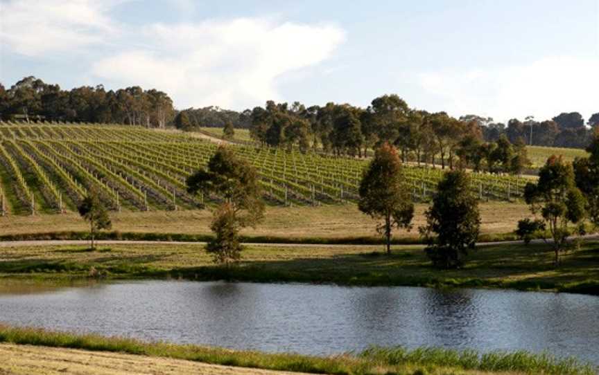 Yabby Lake Vineyard, Tuerong, Victoria