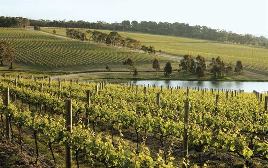 Yabby Lake Vineyard, Wineries in Tuerong