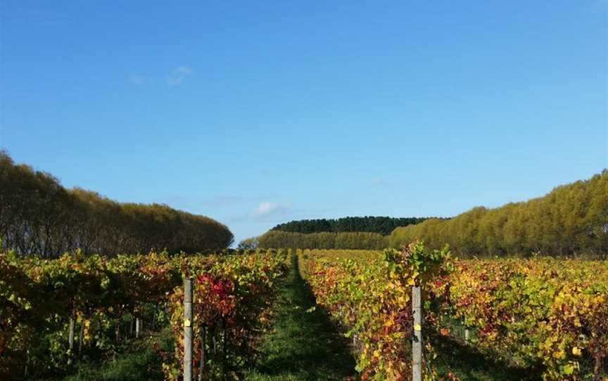 Caroline Hills Winery, Yahl, South Australia