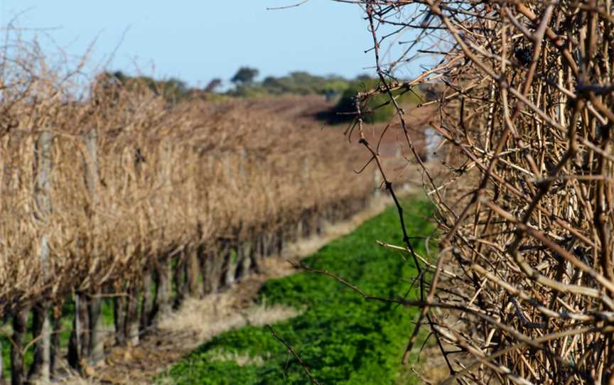 Cirami Estate, Monash, South Australia