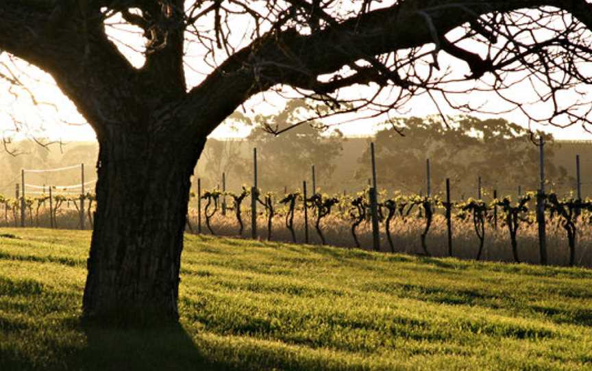 Clos Clare, Watervale, South Australia