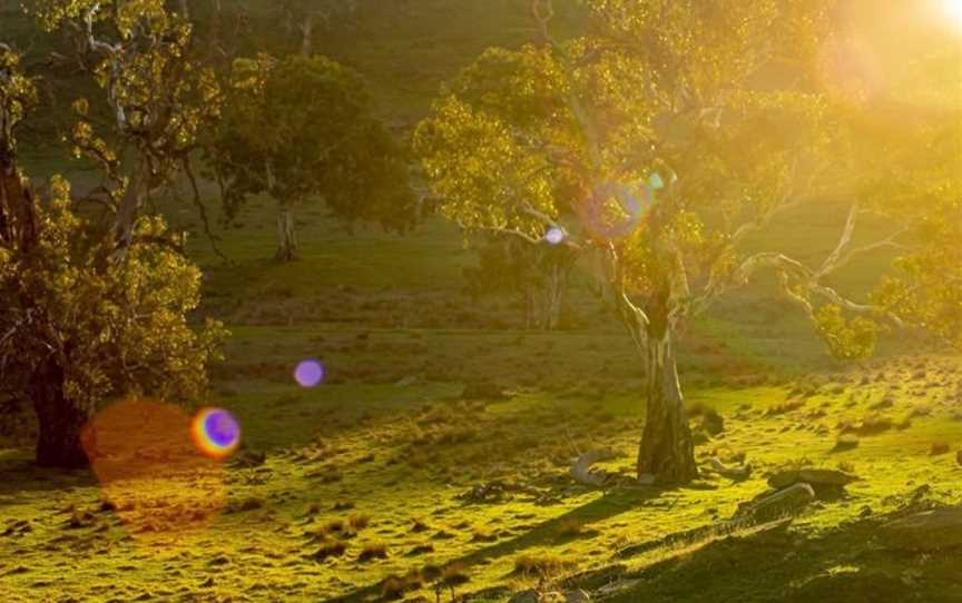 Fernfield Wines, Eden Valley, South Australia