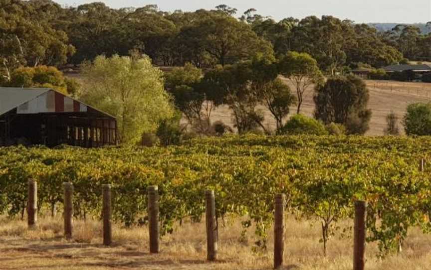 Garden & Field, Moculta, South Australia