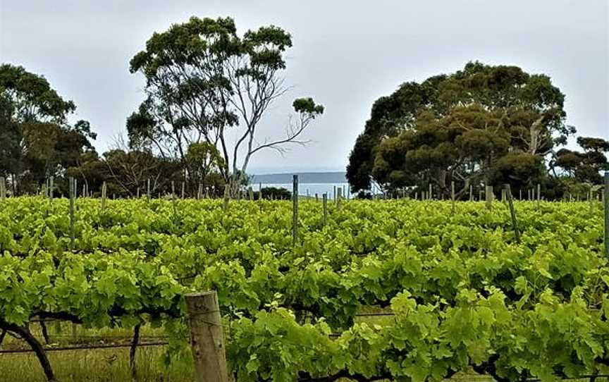 Gardner's Vineyard, Wineries in North Shields