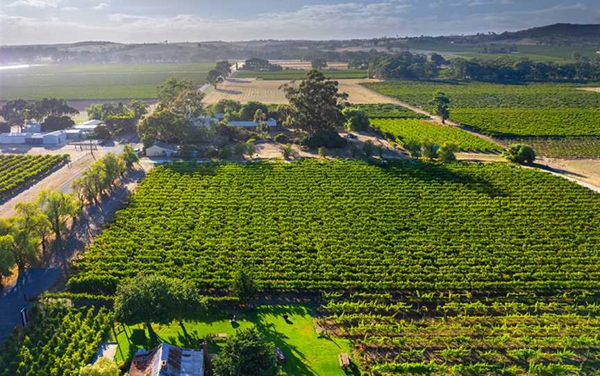 Gibson, Wineries in Light Pass