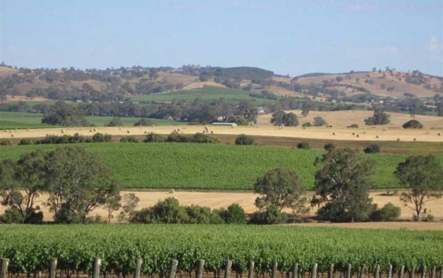 Gods Hill Wines, Wineries in Lyndoch