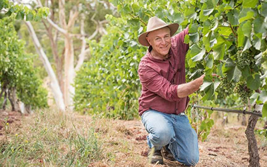 Hahndorf Hill Winery, Hahndorf, South Australia