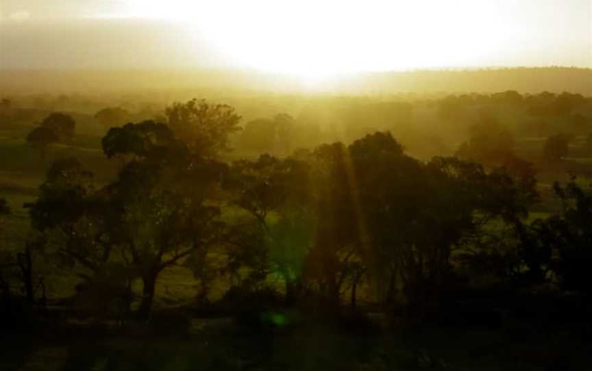 Heggies Vineyard, Wineries in Eden Valley