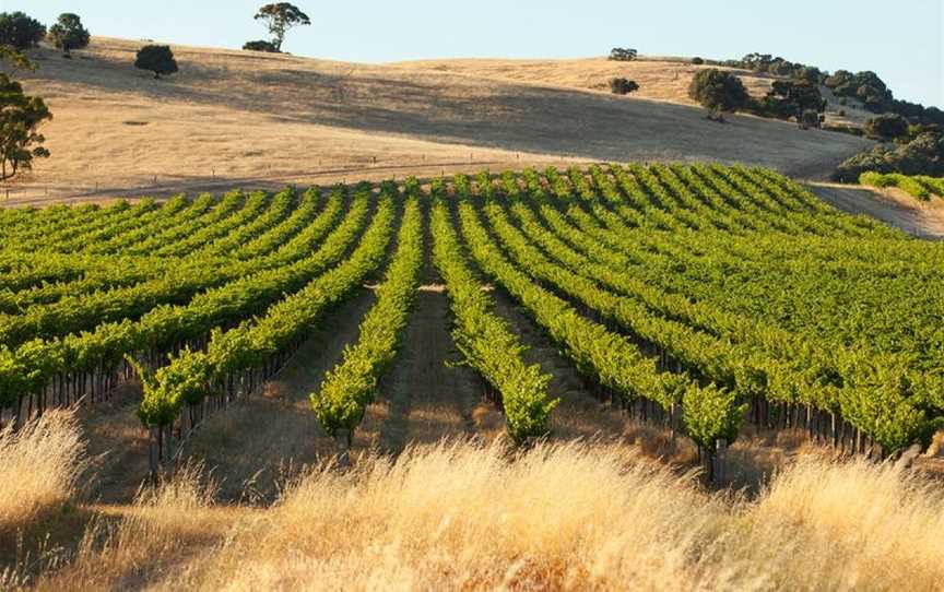 Hemera Estate, Wineries in Lyndoch