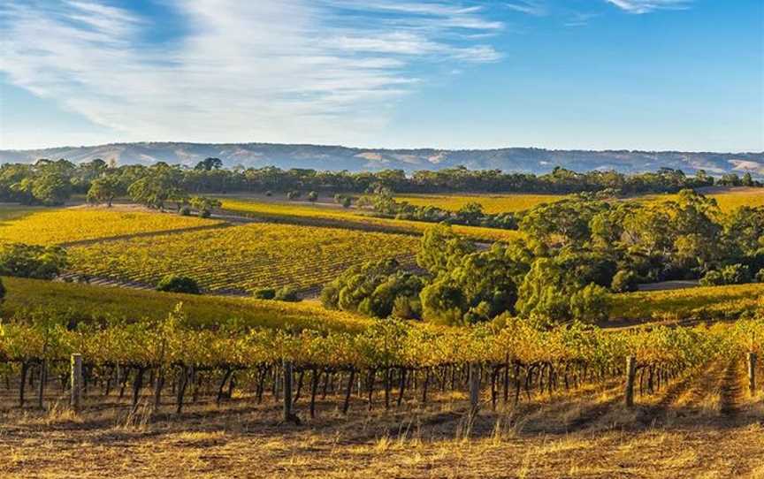 Hesketh Wine Company, Norwood, South Australia