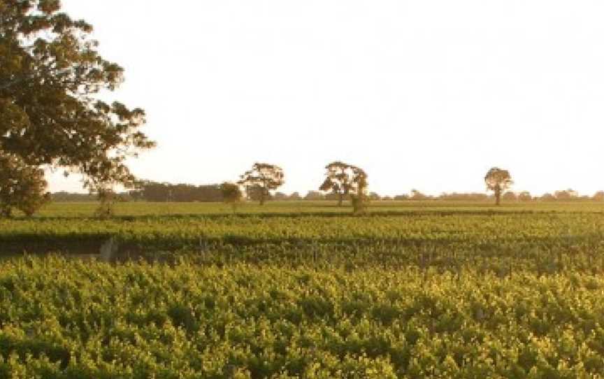 Highbank, Coonawarra, South Australia