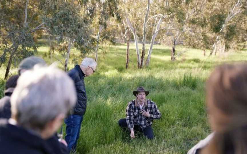 Howard Vineyard, Nairne, South Australia