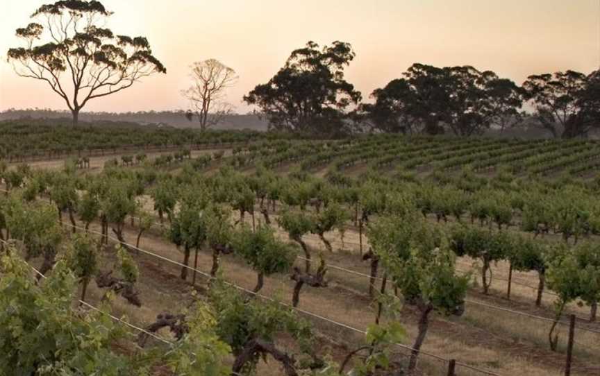 Knappstein, Clare, South Australia