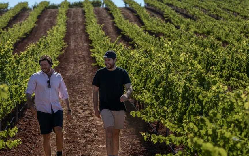 Koerner Wine, Leasingham, South Australia