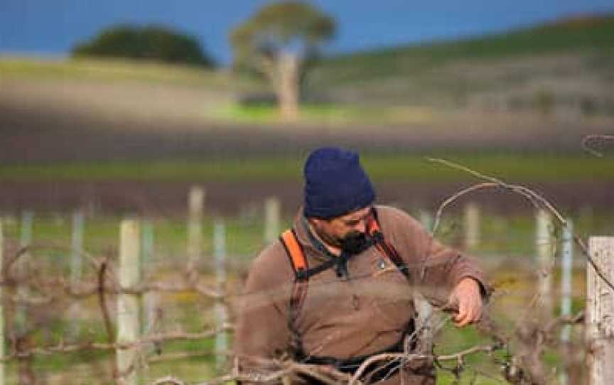 Kurtz Family Vineyards, Angaston, South Australia