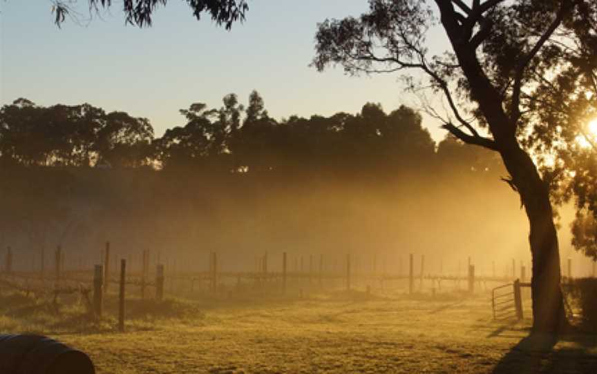 Magpie Springs Winery Cellar Door, Hope Forest, South Australia