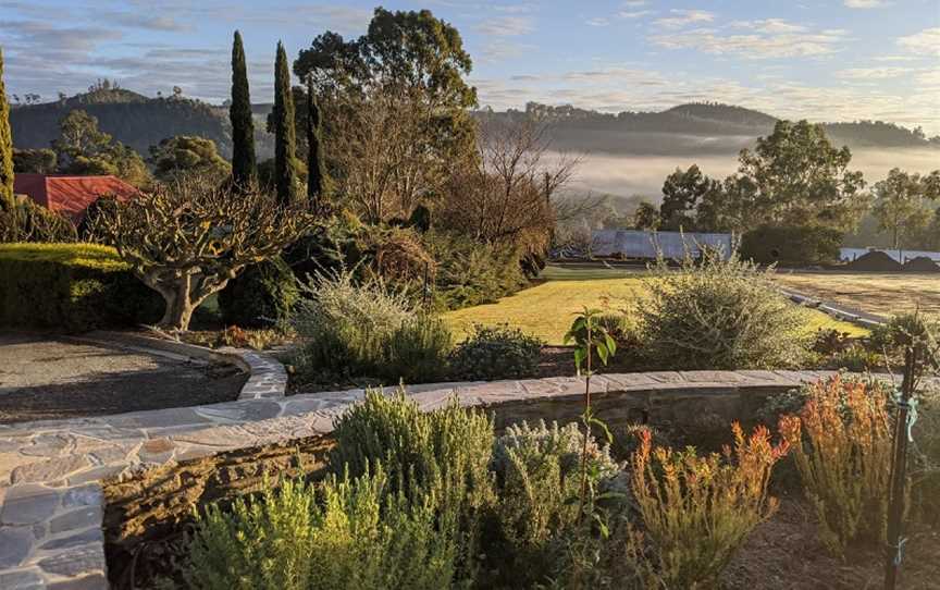 Mt Bera Vineyards, Gumeracha, South Australia