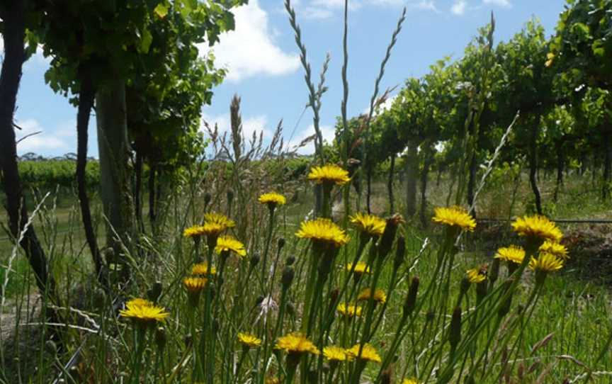 Mt Jagged Wines, Mount Jagged, South Australia