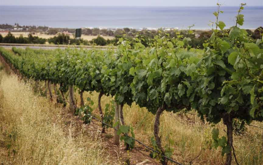 Rudderless Wines, Sellicks Hill, South Australia