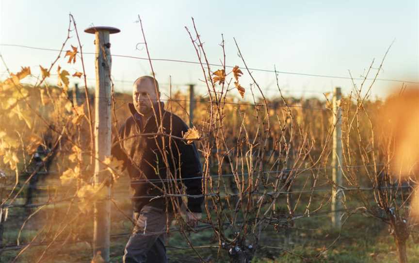 Simon Tolley Wines, Woodside, South Australia