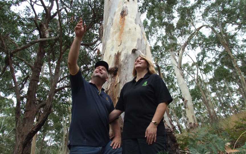 Sinclair's Gully, Norton Summit, South Australia