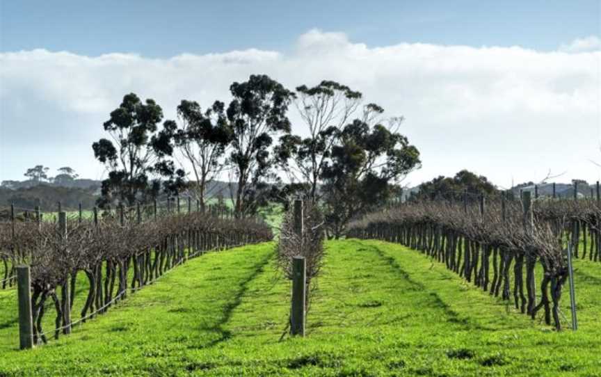 Springs Road Wines, Wineries in Cygnet River