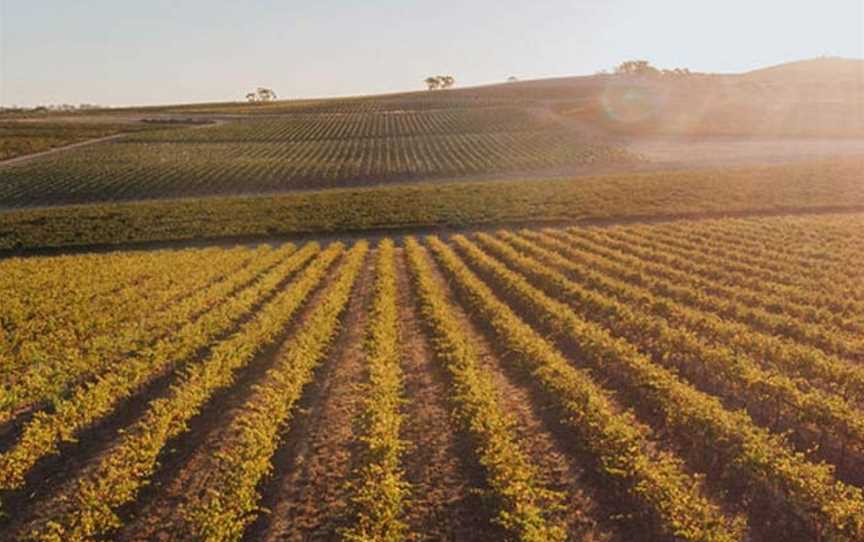 Taylors, Auburn, South Australia