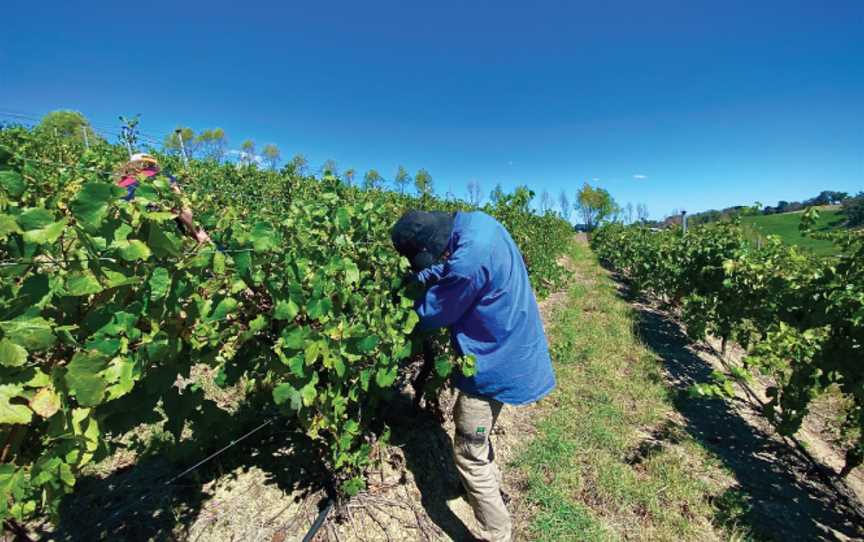 Tilbrook Estate, Lobethal, South Australia