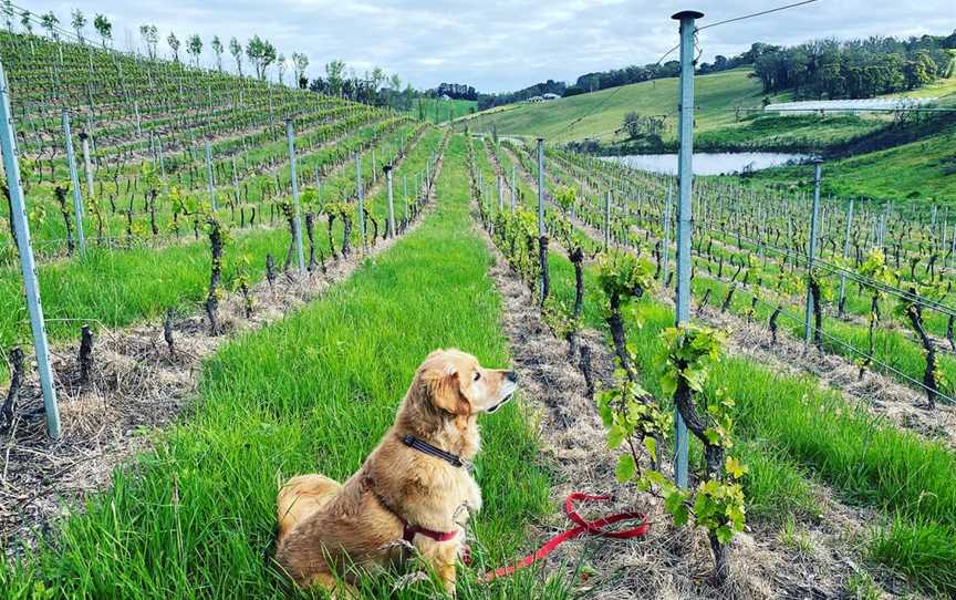 Tilbrook Estate, Lobethal, South Australia