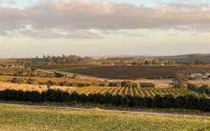 Tim McNeil Wines, Watervale, South Australia