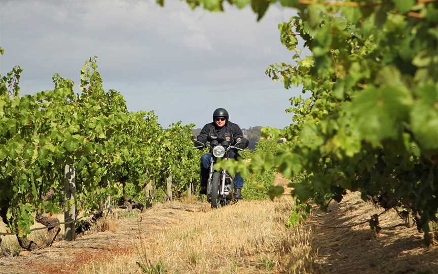 Tim Smith Wines, Wineries in Vine Vale