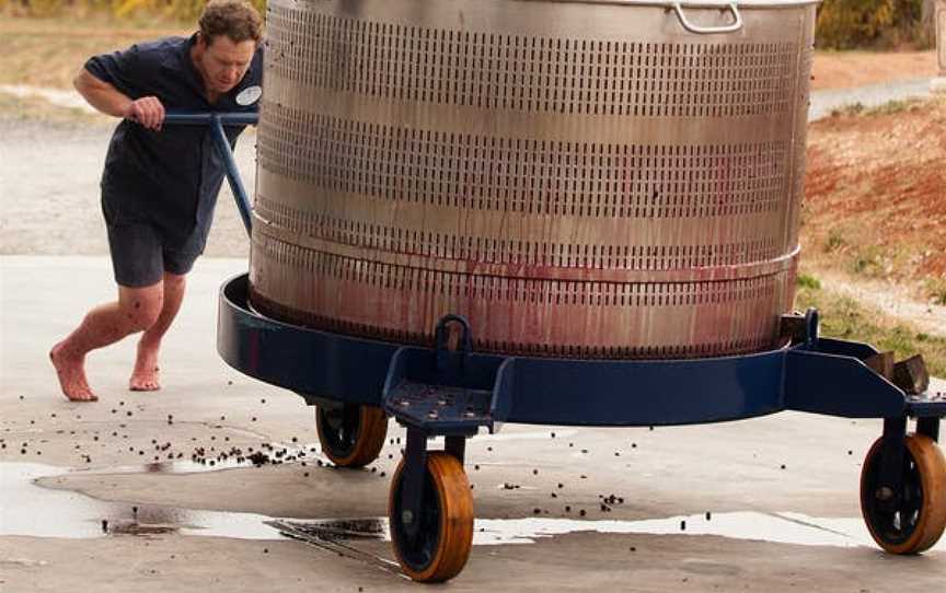 Tomfoolery Wines, Light Pass, South Australia